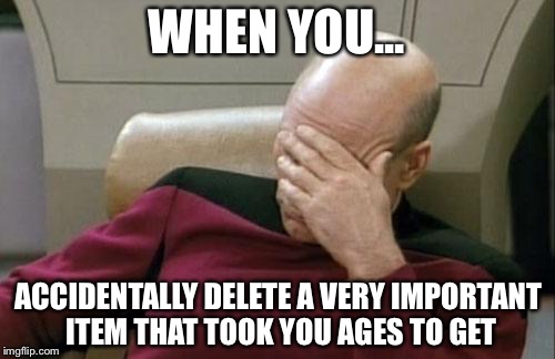 Captain Picard Facepalm | WHEN YOU... ACCIDENTALLY DELETE A VERY IMPORTANT ITEM THAT TOOK YOU AGES TO GET | image tagged in memes,captain picard facepalm | made w/ Imgflip meme maker