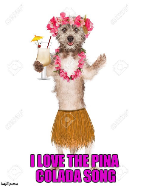 I LOVE THE PINA COLADA SONG | made w/ Imgflip meme maker