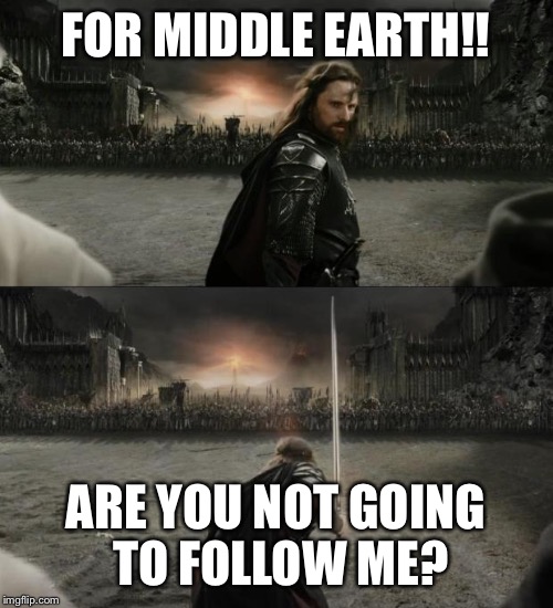 Aragorn in battle | FOR MIDDLE EARTH!! ARE YOU NOT GOING TO FOLLOW ME? | image tagged in aragorn in battle | made w/ Imgflip meme maker