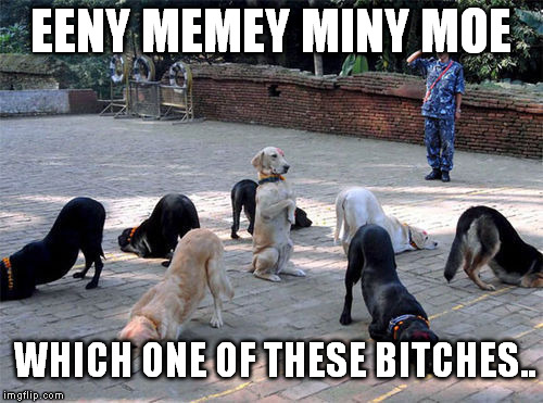 EENY MEMEY MINY MOE WHICH ONE OF THESE B**CHES.. | made w/ Imgflip meme maker