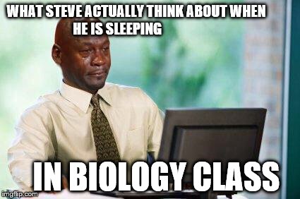 Crying Michael Jordan @ Computer | WHAT STEVE ACTUALLY THINK ABOUT WHEN                   HE IS SLEEPING; IN BIOLOGY CLASS | image tagged in crying michael jordan  computer | made w/ Imgflip meme maker