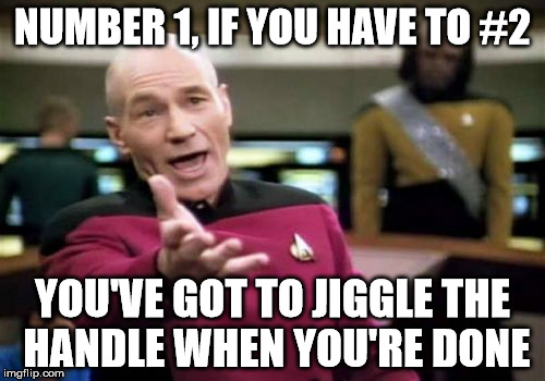 Picard Wtf | NUMBER 1, IF YOU HAVE TO #2; YOU'VE GOT TO JIGGLE THE HANDLE WHEN YOU'RE DONE | image tagged in memes,picard wtf | made w/ Imgflip meme maker