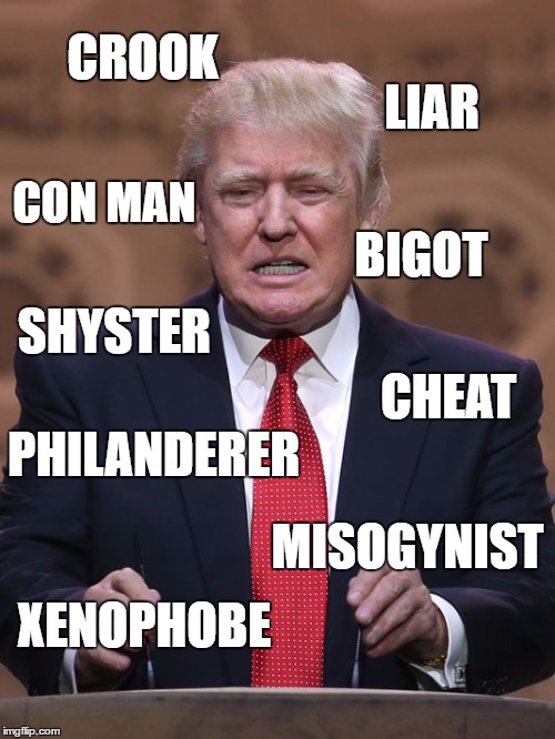 Donald Trump | CROOK; LIAR; CON MAN; BIGOT; SHYSTER; CHEAT; PHILANDERER; MISOGYNIST; XENOPHOBE | image tagged in donald trump | made w/ Imgflip meme maker