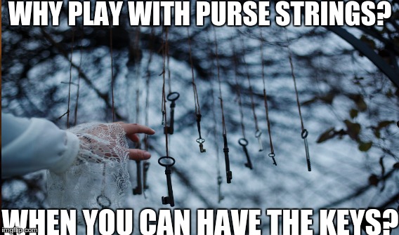 WHY PLAY WITH PURSE STRINGS? WHEN YOU CAN HAVE THE KEYS? | image tagged in vault,dreams,abundance,love,freedom | made w/ Imgflip meme maker