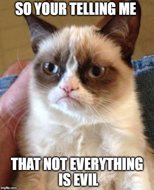 Grumpy Cat | SO YOUR TELLING ME; THAT NOT EVERYTHING IS EVIL | image tagged in memes,grumpy cat | made w/ Imgflip meme maker