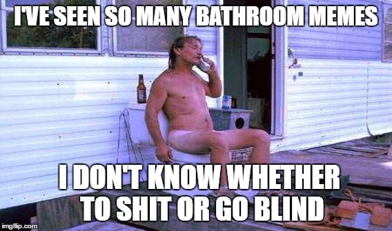 Can we move on? | I'VE SEEN SO MANY BATHROOM MEMES; I DON'T KNOW WHETHER TO SHIT OR GO BLIND | image tagged in toilet humor,memes | made w/ Imgflip meme maker