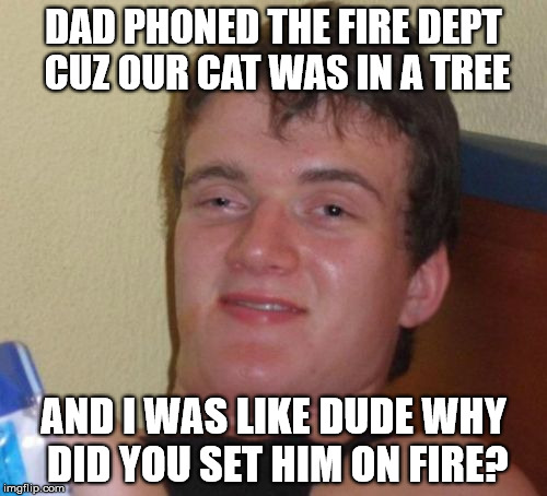 10 Guy | DAD PHONED THE FIRE DEPT CUZ OUR CAT WAS IN A TREE; AND I WAS LIKE DUDE WHY DID YOU SET HIM ON FIRE? | image tagged in memes,10 guy | made w/ Imgflip meme maker