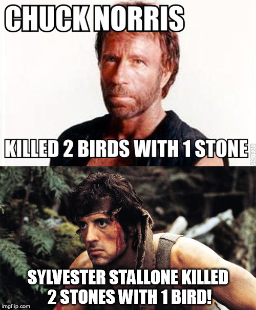 Sylvester Wins! | SYLVESTER STALLONE KILLED 2 STONES WITH 1 BIRD! | image tagged in memes,chuck norris,sylvester stallone,rambo,walker texas ranger | made w/ Imgflip meme maker