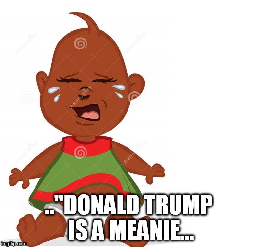 Crying black baby | .."DONALD TRUMP IS A MEANIE... | image tagged in crying black baby | made w/ Imgflip meme maker