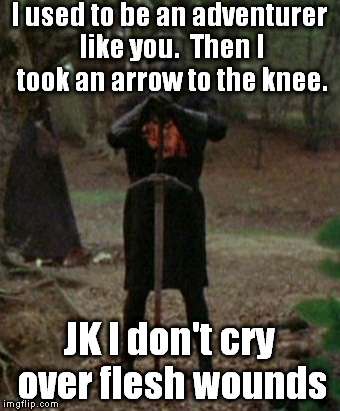 A Bit Dated Joke but he is a Knight | I used to be an adventurer like you.  Then I took an arrow to the knee. JK I don't cry over flesh wounds | image tagged in monty python black knight,funny,memes,skyrimguard | made w/ Imgflip meme maker