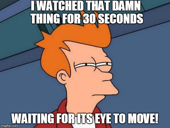 Futurama Fry Meme | I WATCHED THAT DAMN THING FOR 30 SECONDS WAITING FOR ITS EYE TO MOVE! | image tagged in memes,futurama fry | made w/ Imgflip meme maker