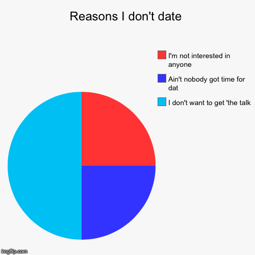 Reasons I don't date | I don't want to get 'the talk, Ain't nobody got time for dat, I'm not interested in anyone | image tagged in funny,pie charts | made w/ Imgflip chart maker