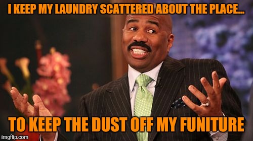 Bachelor life, interviewing a housesitter while I head out west.  | I KEEP MY LAUNDRY SCATTERED ABOUT THE PLACE... TO KEEP THE DUST OFF MY FUNITURE | image tagged in memes,steve harvey,sewmyeyesshut | made w/ Imgflip meme maker