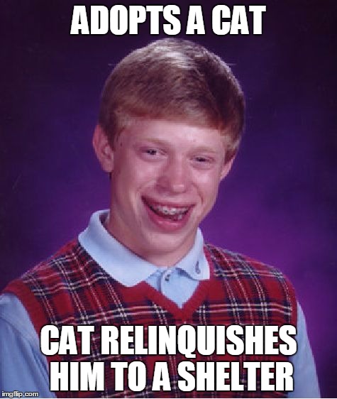 Bad Luck Brian | ADOPTS A CAT; CAT RELINQUISHES HIM TO A SHELTER | image tagged in memes,bad luck brian | made w/ Imgflip meme maker