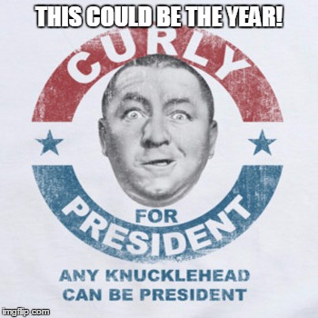 Why not? | THIS COULD BE THE YEAR! | image tagged in curly,politics,memes | made w/ Imgflip meme maker