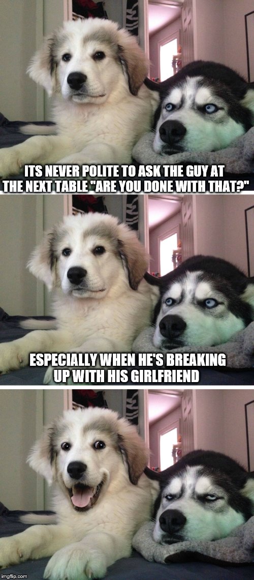 Bad pun dogs | ITS NEVER POLITE TO ASK THE GUY AT THE NEXT TABLE "ARE YOU DONE WITH THAT?"; ESPECIALLY WHEN HE'S BREAKING UP WITH HIS GIRLFRIEND | image tagged in bad pun dogs | made w/ Imgflip meme maker