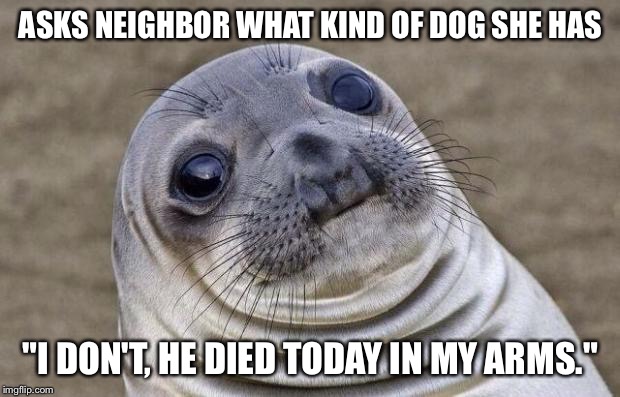 Awkward Moment Sealion | ASKS NEIGHBOR WHAT KIND OF DOG SHE HAS; "I DON'T, HE DIED TODAY IN MY ARMS." | image tagged in memes,awkward moment sealion,AdviceAnimals | made w/ Imgflip meme maker