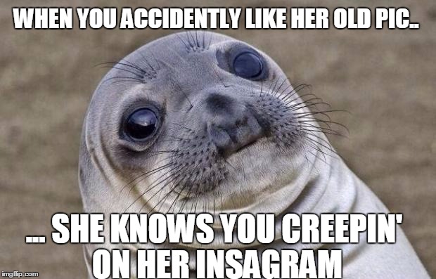 Awkward Moment Sealion Meme | WHEN YOU ACCIDENTLY LIKE HER OLD PIC.. ... SHE KNOWS YOU CREEPIN' ON HER INSAGRAM | image tagged in memes,awkward moment sealion | made w/ Imgflip meme maker