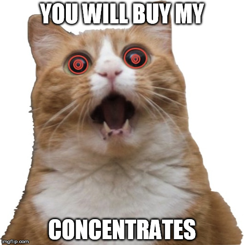 Hypnotic scared cat | YOU WILL BUY MY; CONCENTRATES | image tagged in hypnotic scared cat | made w/ Imgflip meme maker