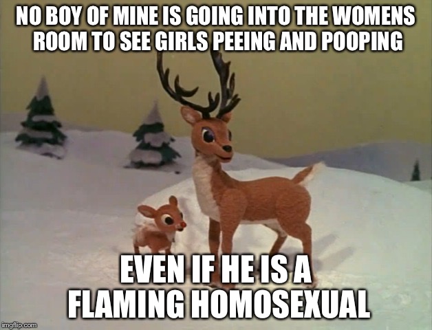 NO BOY OF MINE IS GOING INTO THE WOMENS ROOM TO SEE GIRLS PEEING AND POOPING EVEN IF HE IS A FLAMING HOMOSEXUAL | image tagged in rudolph | made w/ Imgflip meme maker