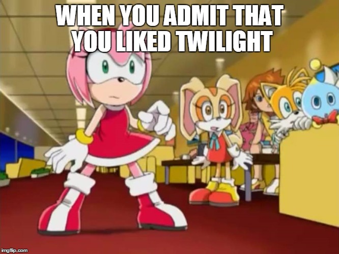 And Your Friends be LIke... | WHEN YOU ADMIT THAT YOU LIKED TWILIGHT | image tagged in everyone is looking at you - sonic x,twilight,burn,roast,joke,reaction | made w/ Imgflip meme maker