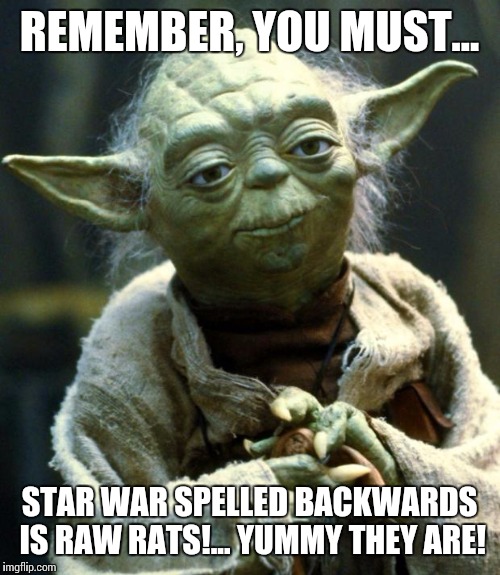 Years in swamp make for specialized diet! Mmmmm... | REMEMBER, YOU MUST... STAR WAR SPELLED BACKWARDS IS RAW RATS!... YUMMY THEY ARE! | image tagged in memes,star wars yoda | made w/ Imgflip meme maker