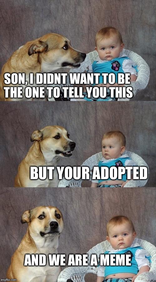 Dad Joke Dog | SON, I DIDNT WANT TO BE THE ONE TO TELL YOU THIS; BUT YOUR ADOPTED; AND WE ARE A MEME | image tagged in memes,dad joke dog | made w/ Imgflip meme maker