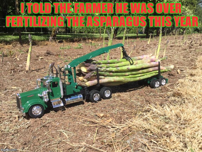 This Looks Like A Job For The Jolly Green Giant! | I TOLD THE FARMER HE WAS OVER FERTILIZING THE ASPARAGUS THIS YEAR | image tagged in memes,lol,lynch1979,jolly green giant,asparagus | made w/ Imgflip meme maker