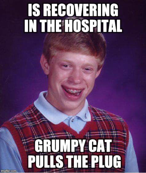 Bad Luck Brian Meme | IS RECOVERING IN THE HOSPITAL GRUMPY CAT PULLS THE PLUG | image tagged in memes,bad luck brian | made w/ Imgflip meme maker