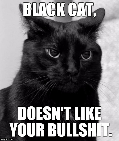 Black cat pissed | BLACK CAT, DOESN'T LIKE YOUR BULLSHIT. | image tagged in black cat pissed | made w/ Imgflip meme maker