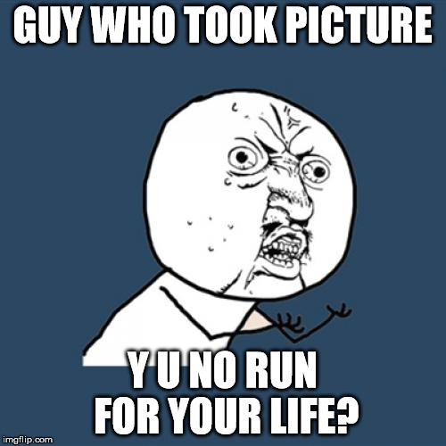 Y U No Meme | GUY WHO TOOK PICTURE Y U NO RUN FOR YOUR LIFE? | image tagged in memes,y u no | made w/ Imgflip meme maker