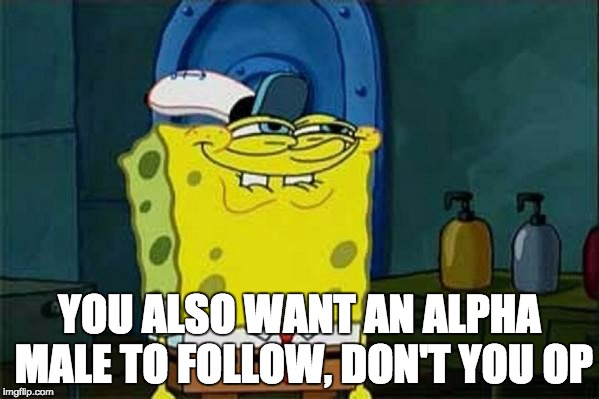 you like krabby patties | YOU ALSO WANT AN ALPHA MALE TO FOLLOW, DON'T YOU OP | image tagged in you like krabby patties | made w/ Imgflip meme maker