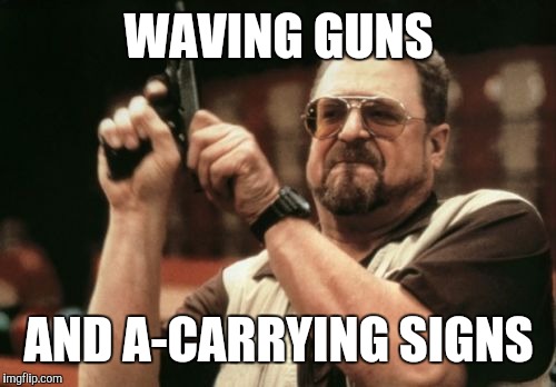 Am I The Only One Around Here Meme | WAVING GUNS AND A-CARRYING SIGNS | image tagged in memes,am i the only one around here | made w/ Imgflip meme maker