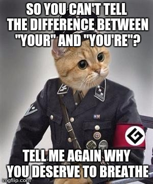 Grammar Nazi Cat |  SO YOU CAN'T TELL THE DIFFERENCE BETWEEN "YOUR" AND "YOU'RE"? TELL ME AGAIN WHY YOU DESERVE TO BREATHE | image tagged in grammar nazi cat | made w/ Imgflip meme maker
