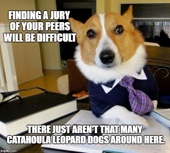 Lawyer dog | FINDING A JURY OF YOUR PEERS WILL BE DIFFICULT; THERE JUST AREN'T THAT MANY CATAHOULA LEOPARD DOGS AROUND HERE. | image tagged in lawyer dog | made w/ Imgflip meme maker