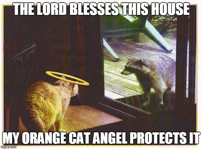 Cat Guardian | THE LORD BLESSES THIS HOUSE; MY ORANGE CAT ANGEL PROTECTS IT | image tagged in angel cat,cat burglar raccoon | made w/ Imgflip meme maker