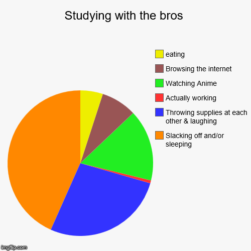 image tagged in funny,pie charts | made w/ Imgflip chart maker