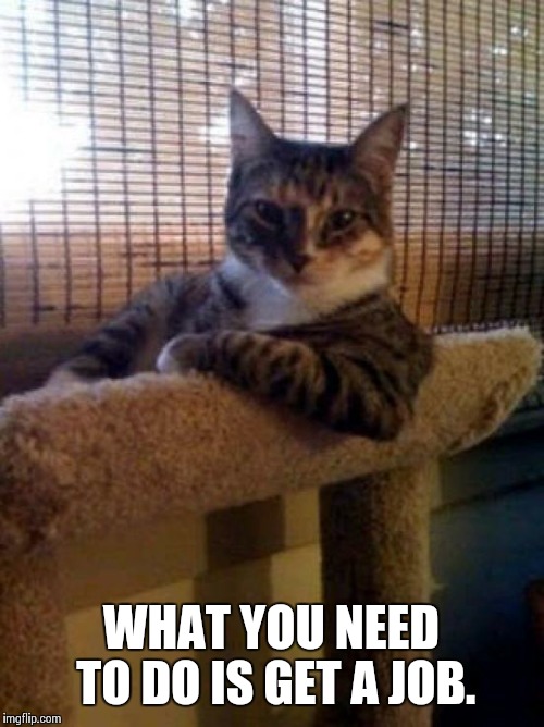 The Most Interesting Cat In The World | WHAT YOU NEED TO DO IS GET A JOB. | image tagged in memes,the most interesting cat in the world | made w/ Imgflip meme maker