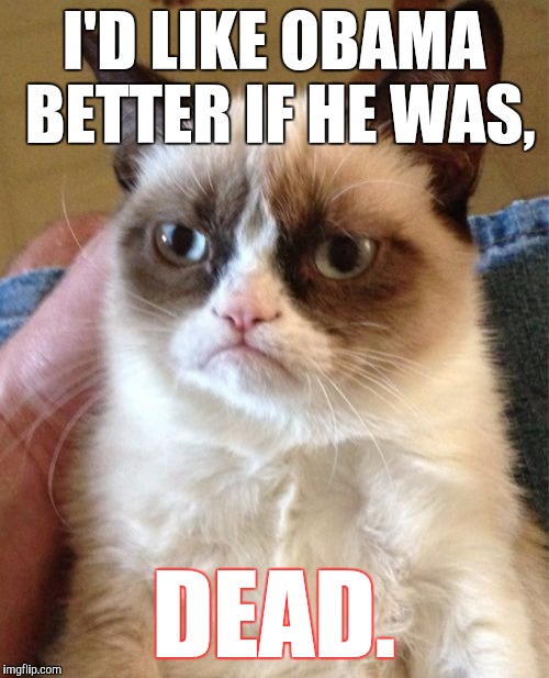 Grumpy Cat | I'D LIKE OBAMA BETTER IF HE WAS, DEAD. | image tagged in memes,grumpy cat | made w/ Imgflip meme maker