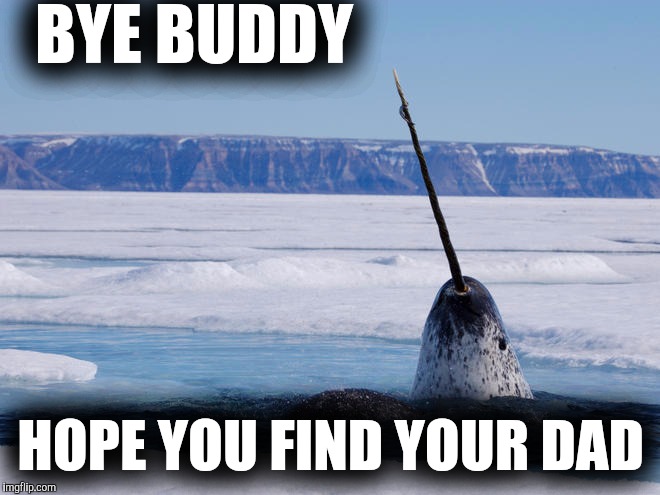Can't un see this | BYE BUDDY; HOPE YOU FIND YOUR DAD | image tagged in elf,whale | made w/ Imgflip meme maker