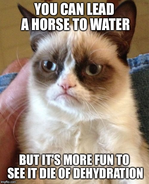 Grumpy Cat Meme | YOU CAN LEAD A HORSE TO WATER BUT IT'S MORE FUN TO SEE IT DIE OF DEHYDRATION | image tagged in memes,grumpy cat | made w/ Imgflip meme maker