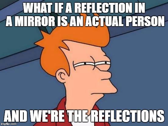 Futurama Fry Meme | WHAT IF A REFLECTION
IN A MIRROR IS AN ACTUAL PERSON; AND WE'RE THE REFLECTIONS | image tagged in memes,futurama fry | made w/ Imgflip meme maker