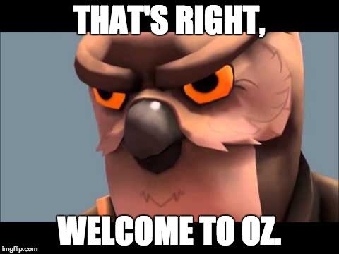 Owl sniper | THAT'S RIGHT, WELCOME TO OZ. | image tagged in owl sniper | made w/ Imgflip meme maker