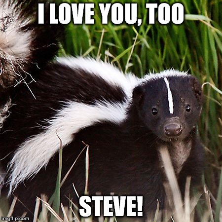 skunkterps | I LOVE YOU, TOO; STEVE! | image tagged in skunkterps | made w/ Imgflip meme maker