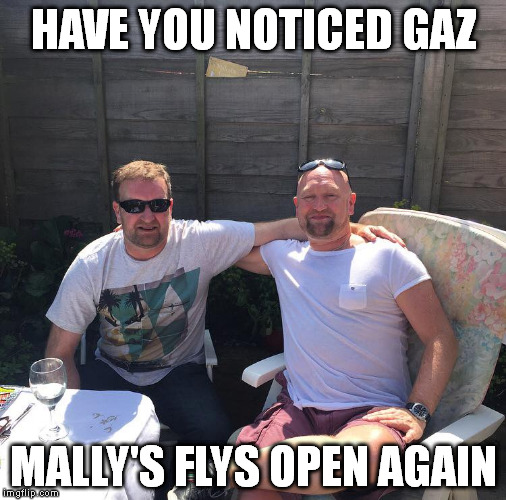 Mally's Fly | HAVE YOU NOTICED GAZ; MALLY'S FLYS OPEN AGAIN | image tagged in saying | made w/ Imgflip meme maker
