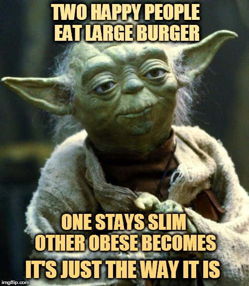 Star Wars Yoda Meme | TWO HAPPY PEOPLE EAT LARGE BURGER; ONE STAYS SLIM OTHER OBESE BECOMES; IT'S JUST THE WAY IT IS | image tagged in memes,star wars yoda | made w/ Imgflip meme maker