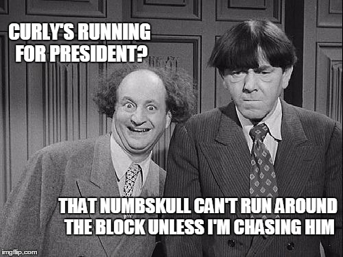 CURLY'S RUNNING FOR PRESIDENT? THAT NUMBSKULL CAN'T RUN AROUND THE BLOCK UNLESS I'M CHASING HIM | made w/ Imgflip meme maker