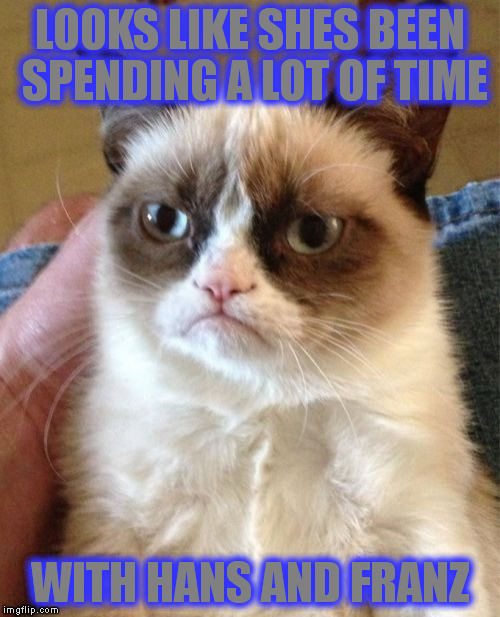 Grumpy Cat Meme | LOOKS LIKE SHES BEEN SPENDING A LOT OF TIME WITH HANS AND FRANZ | image tagged in memes,grumpy cat | made w/ Imgflip meme maker