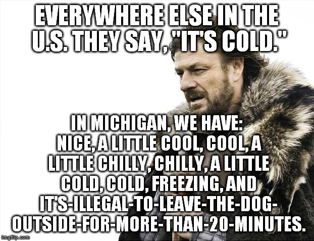 You say cold, we say... | EVERYWHERE ELSE IN THE U.S. THEY SAY, "IT'S COLD."; IN MICHIGAN, WE HAVE: NICE, A LITTLE COOL, COOL, A LITTLE CHILLY, CHILLY, A LITTLE COLD, COLD, FREEZING, AND IT'S-ILLEGAL-TO-LEAVE-THE-DOG- OUTSIDE-FOR-MORE-THAN-20-MINUTES. | image tagged in memes,brace yourselves x is coming,michigan,cold,funny | made w/ Imgflip meme maker