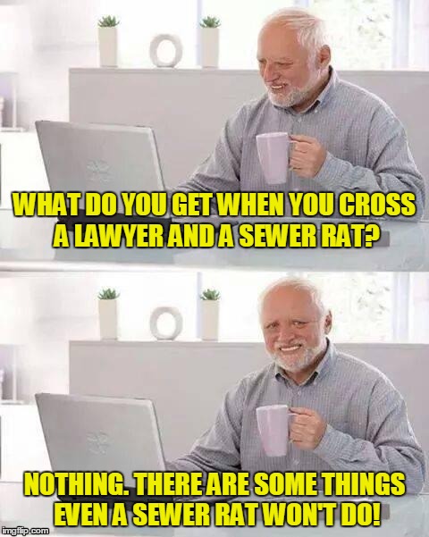 Cross-Breeding | WHAT DO YOU GET WHEN YOU CROSS A LAWYER AND A SEWER RAT? NOTHING. THERE ARE SOME THINGS EVEN A SEWER RAT WON'T DO! | image tagged in memes,hide the pain harold,lawyers | made w/ Imgflip meme maker
